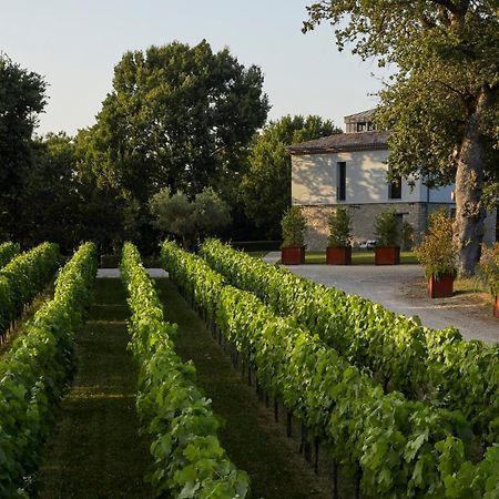 Borgo San Gregorio Villa Sorbo Serpico Dış mekan fotoğraf