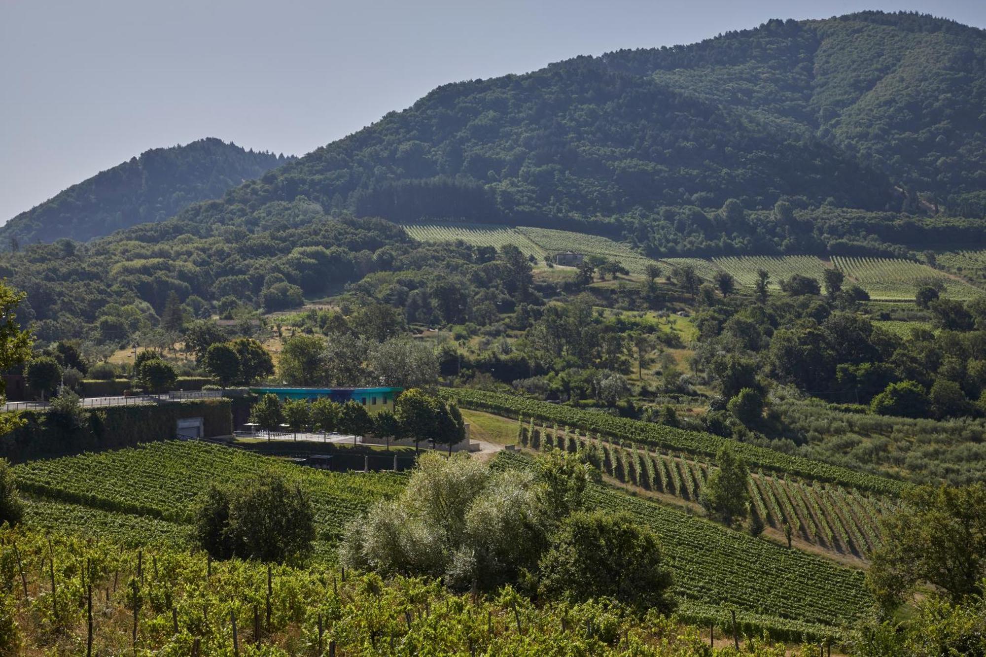 Borgo San Gregorio Villa Sorbo Serpico Dış mekan fotoğraf