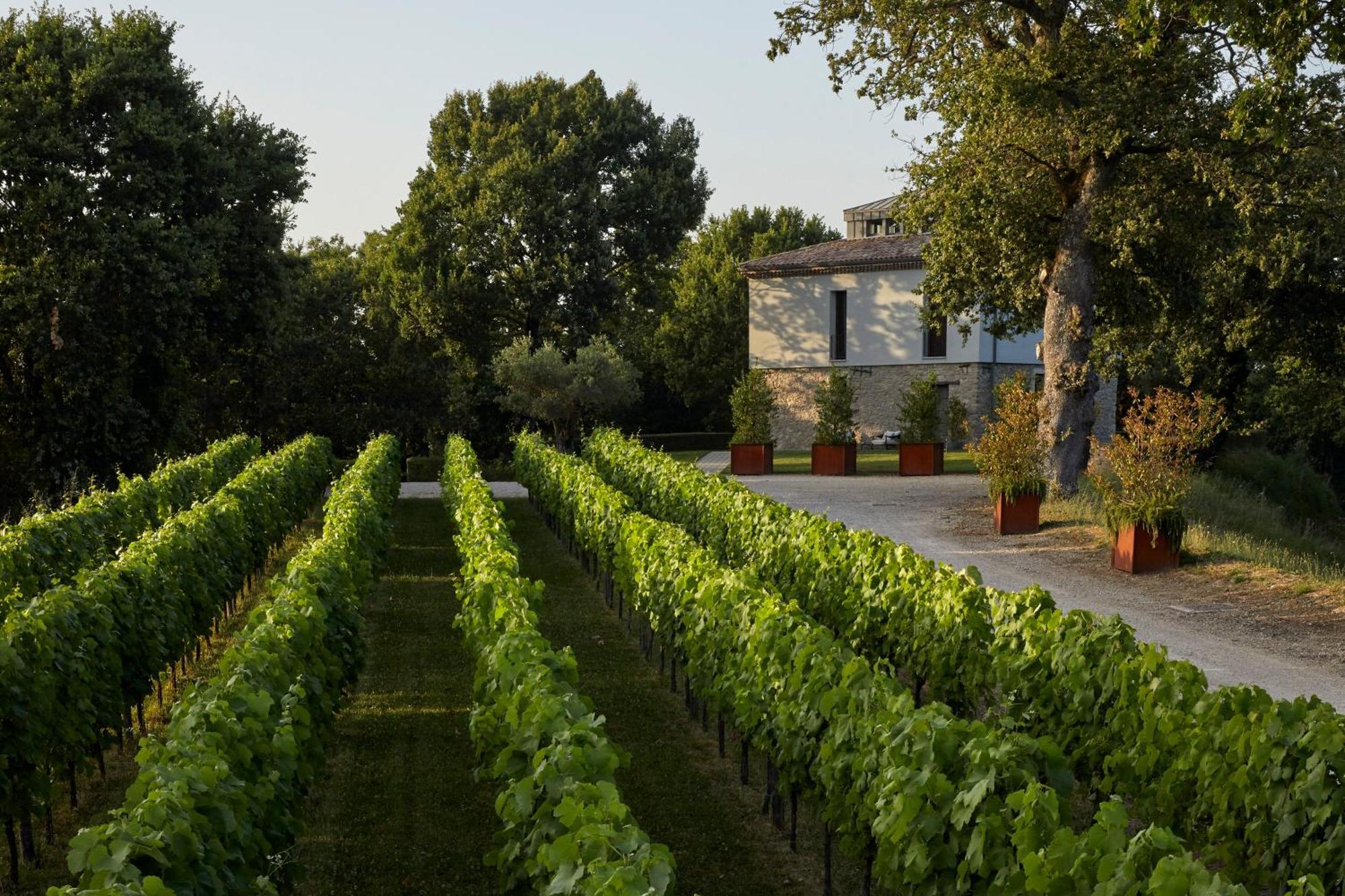 Borgo San Gregorio Villa Sorbo Serpico Dış mekan fotoğraf